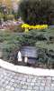 Filename=20161105_145856.jpg
Filesize=274KB
Dimensions=480x800
Date added=Nov 17, 2016 20161105_145856.jpg