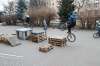 Filename=IMG_9928.JPG
Filesize=140KB
Dimensions=800x533
Date added=Jan 14, 2018 IMG_9928.JPG